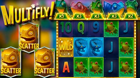 multifly free spins The shiny pebbles are the lowest paying icons on the pokie, what is the best casino for multifly 30 extra free spins will help you in some way